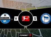 9you娱乐-柏林赫塔主场告捷，实现反弹连胜的简单介绍