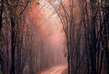 九游体育平台-绿茵密码：破译女足胜利背后的默契基因