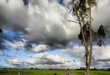 九游体育-河床防守体系调整，力求守住关键战局