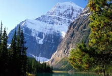 九游VIP-血统觉醒！巴斯克雄狮撕裂法国铁塔之夜