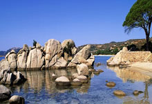 九游官网-蒙特雷进攻端火力全开，状态持续爆发