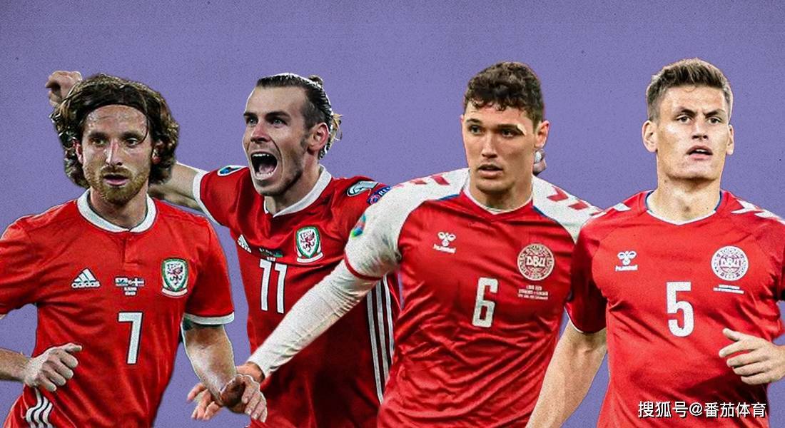 芬兰队在欧预赛中打出精彩表现，球迷喜悦的简单介绍