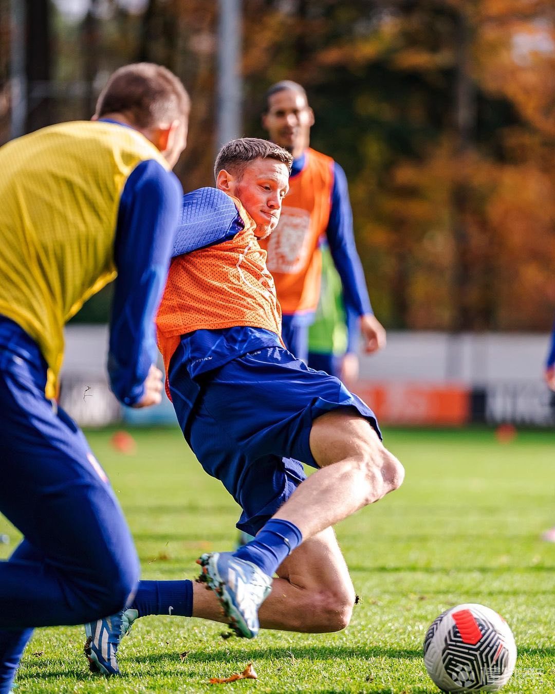 包含荷兰国家队以惊人表现晋级下一轮的词条