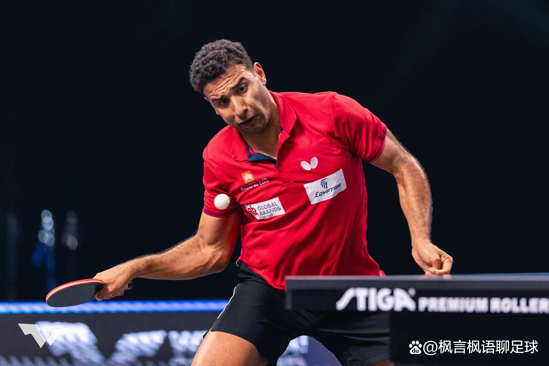 非洲杯新手崭露头角,实力获得认可 非洲杯新手崭露头角,实力获得认可