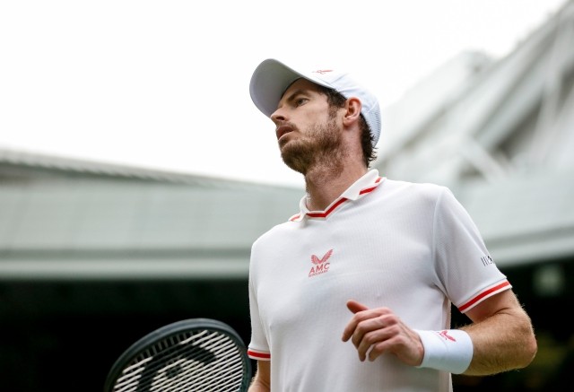 戴维斯杯绝杀温网，穆雷高光表现的简单介绍